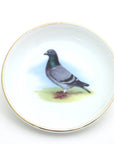 Decorative plate with a pigeon illustration on a white background
