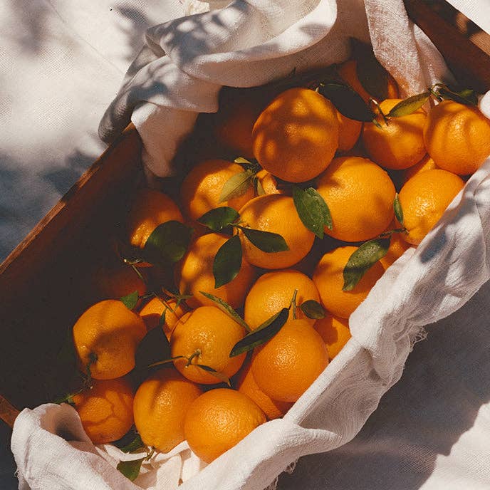 Marmalade | Ruby Valencia &amp; Apricot
