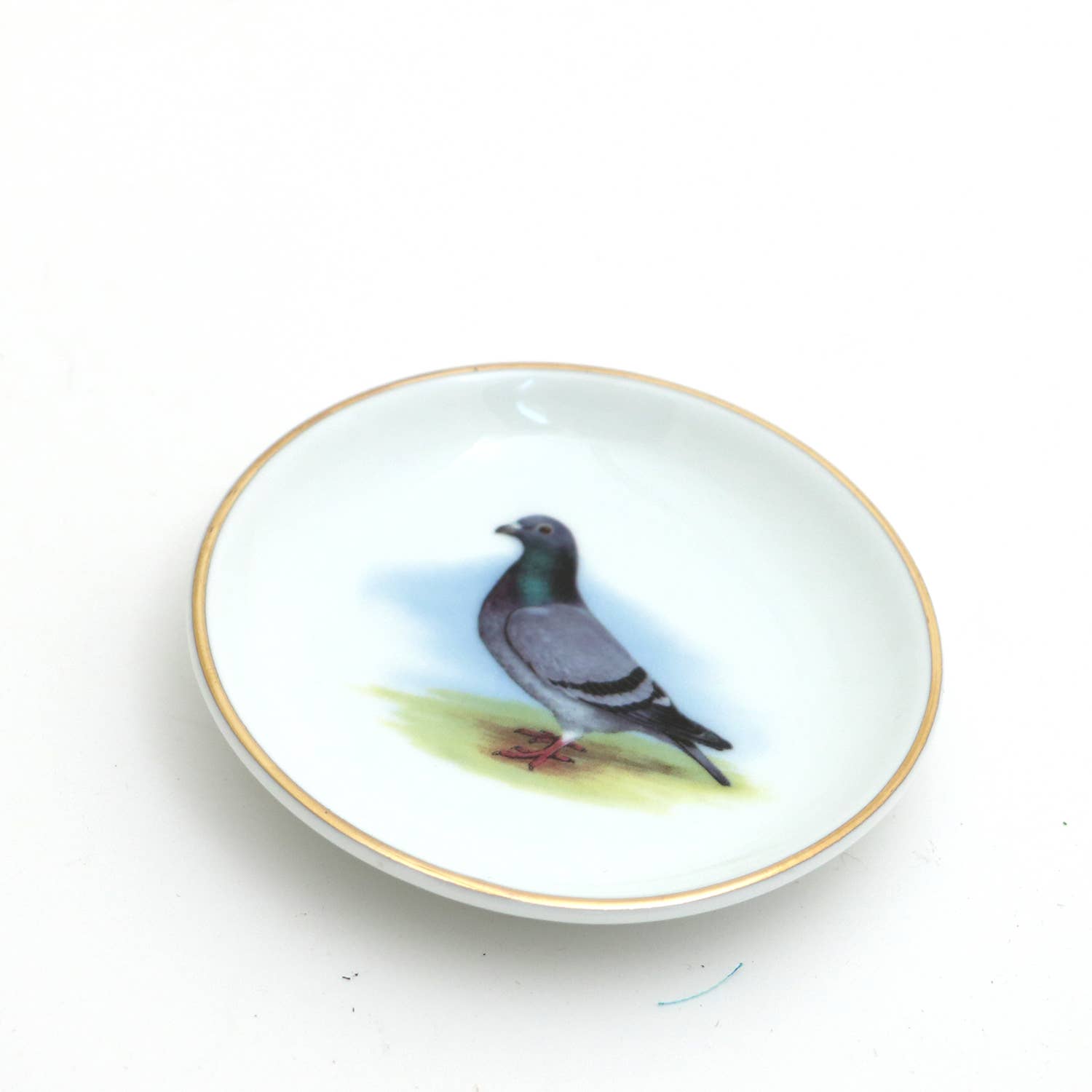 Small dish with a pigeon illustration on a white background