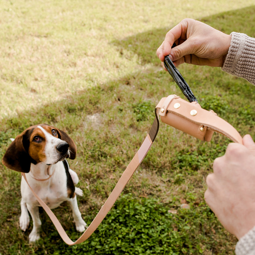 Lola Pet Waste Bag Holder | Leather