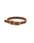 Willis Leather Collar | Leather and Brass