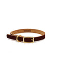 Willis Leather Collar | Leather and Brass
