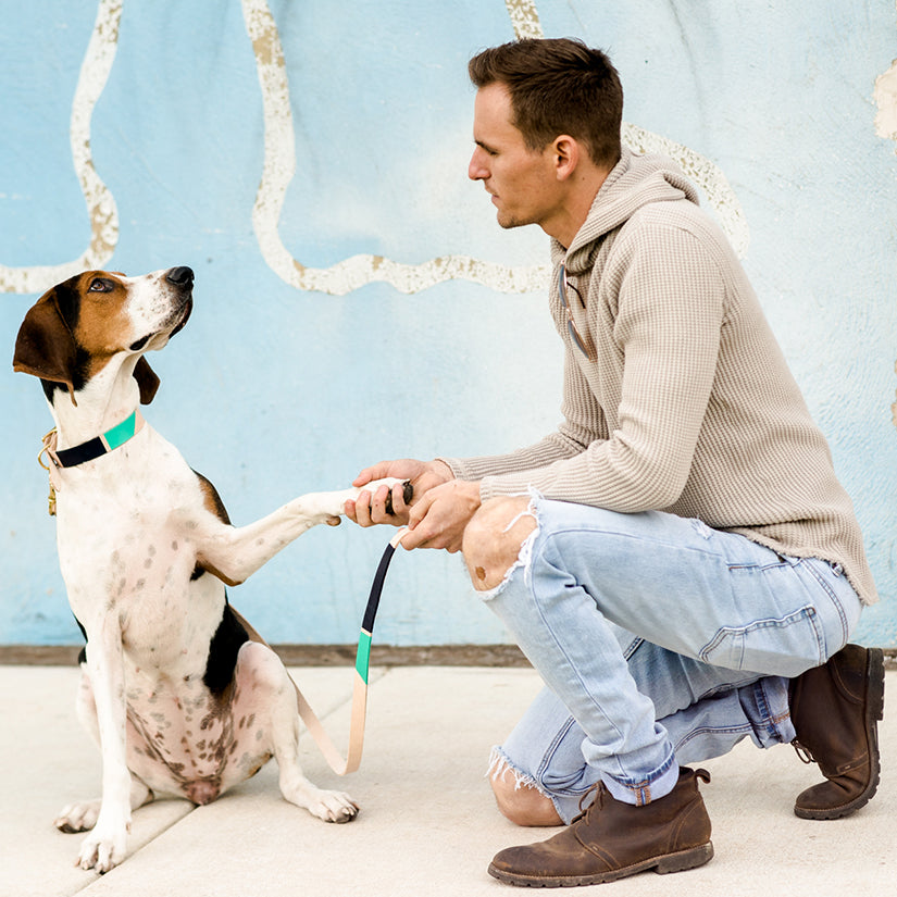 Now you can customize our Willis Eastwood pet line by choosing your paint colors! Choose the perfect colors to reflect your pet's style! For the toughest little guy or the biggest softie, the Willis collar brings colorful personality to a classic leather design for your pet. Natural leather collar features 5 holes for the perfect fit. Finished with brass hardware and your choice of color block.