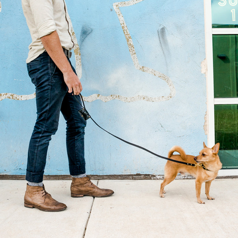 Lola Pet Waste Bag Holder | Leather